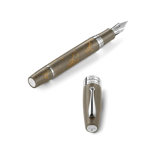 Sea Shepherd Caretta