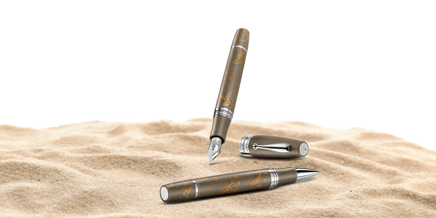 Sea Shepherd Caretta